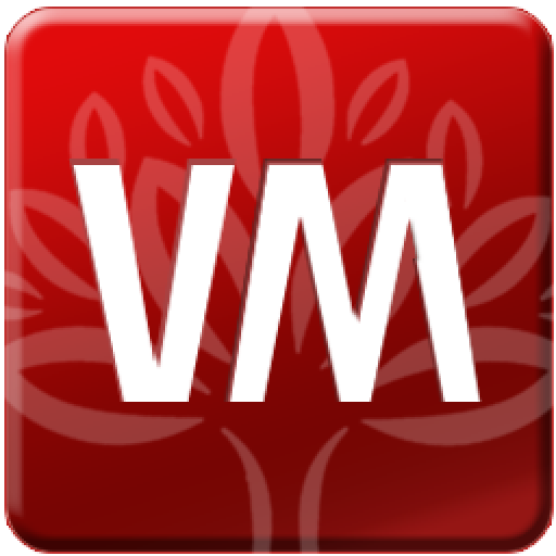 ValMaster ServiceOrder logo