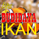 Tips Budidaya Ikan lengkap icon
