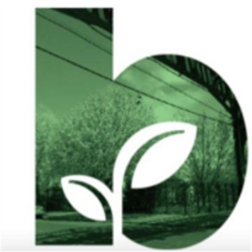 Brooklyn Gardens E.S logo