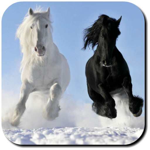 Horse Wallpapers  Icon