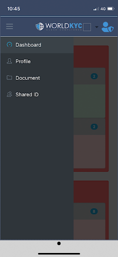 World KYC Screen 2
