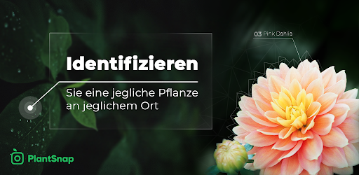 Plantsnap Identifiziert Pflanzen Und Blumen Apps Bei Google Play