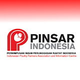 PINSAR icon