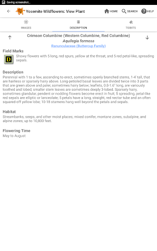 Screenshot of Yosemite Wildflowers