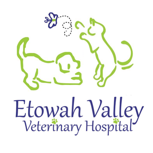 Etowah Valley Vet logo
