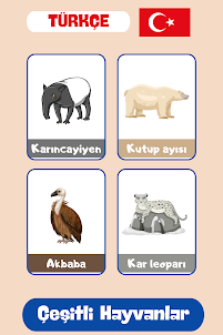 Hayvanlar Bilgi Kartları
