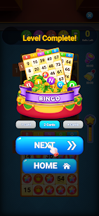 Bingo Amaze 4