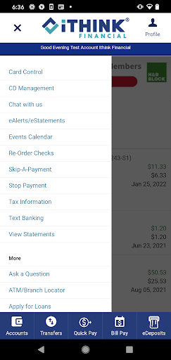 iTHINK Financial Mobile App Screen 3