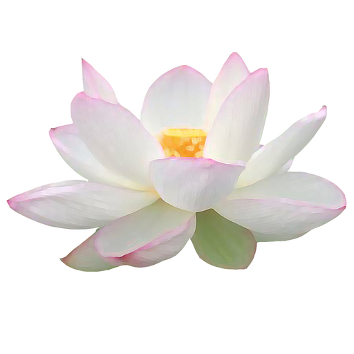 未来健康サロン　白蓮　公式アプリ logo