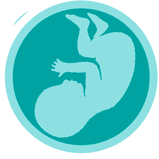 اعراض الحامل حاسبة الحمل