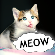 Cat translator. Cat sounds. Meow joke