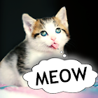 Cat translator. Cat sounds. Meow joke 3.16