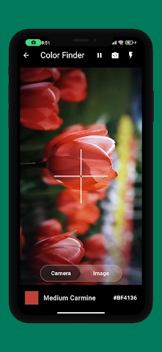 Coloro Screen 2
