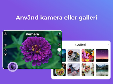 Skärmdumpsbild