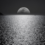Cover Image of Download Moon light scenery Wallpaper 1.0 APK