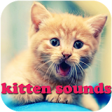 Kitten Sounds icon
