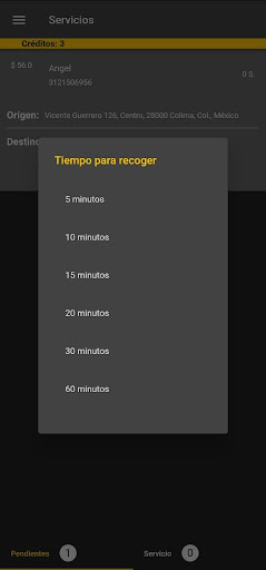 GoBack Taxis Chofer Screen 3