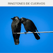Ringtones de cuervos, tonos y sonidos de cuervos