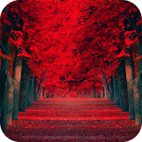 Red Leaves Live WallPaper icon