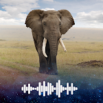 Cover Image of Download Elephant sounds Ringtones  APK