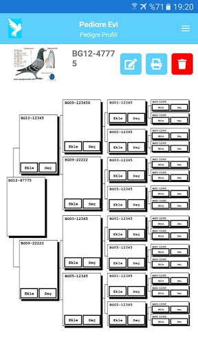 Pedigree Screen 2