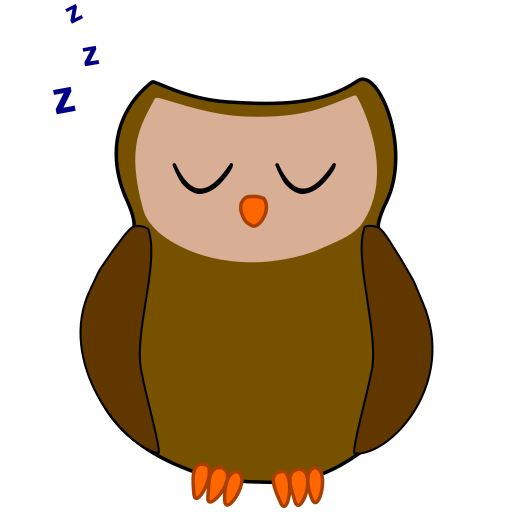 Sleeping Owl Widget  Icon