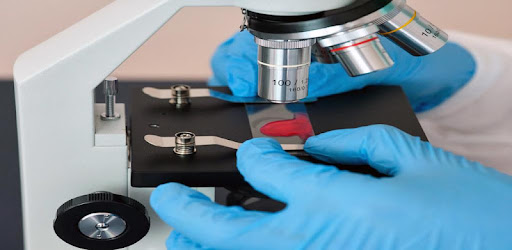 Hepatitis B Serology