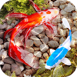 Cover Image of Download Fish Tank Animated Keyboard +  APK