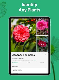 PictureThis - Plant Identifier Screenshot