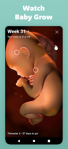 Screenshot of Pregnancy Tracker by Sprout