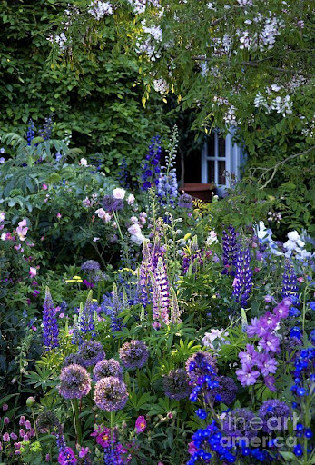 Screenshot of Garden Landscape