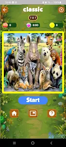 Wild animal puzzle