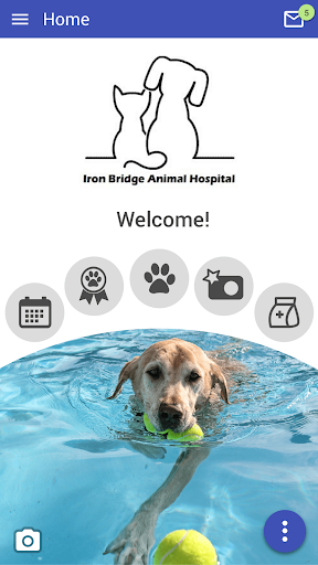 Android application IronBridgeVet screenshort