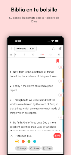 Biblia Quechua Chuya Qellqa Screen 2