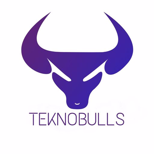 TeknoBulls logo