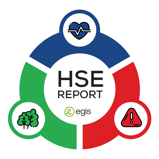 HSE Report logo