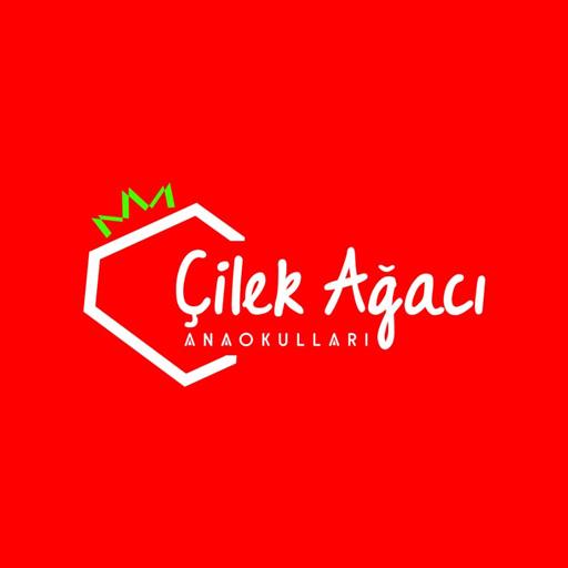 Çilek Ağacı Anaokulları  Icon