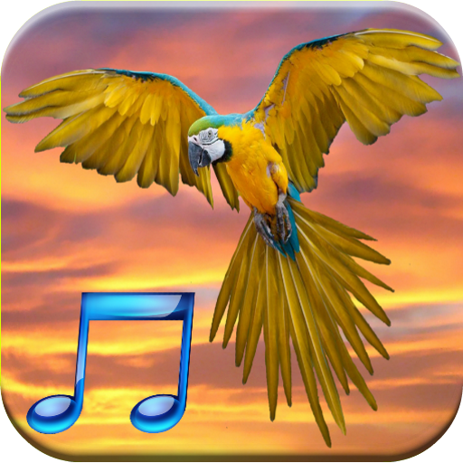 Bird Sounds  Icon