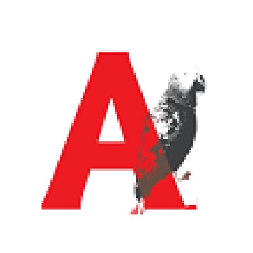 African Grey Agents 1.0.4 Icon