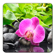 Orchid Wallpapers 1.0 Icon
