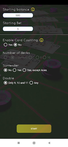 Blackjack Wizard Full Screen 2