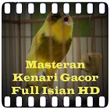 Masteran Kenari Gacor Isian HD icon