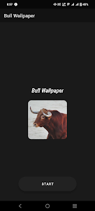 Bull Wallpaper