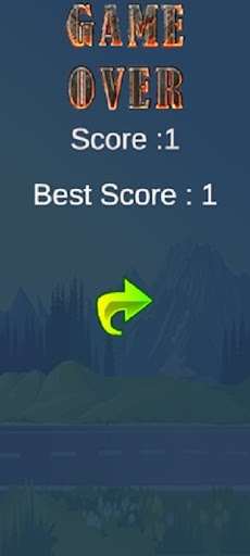 Flying DoDo Screen 3