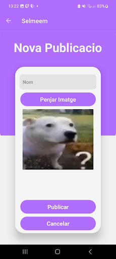 Selmeems Screen 3