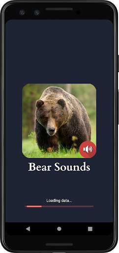 Bear Sounds screenshot 0