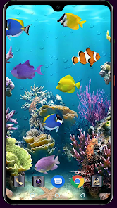 HD Fish Wallpaper  screenshots 5