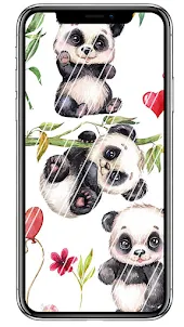 Cute Panda HD Wallpapers