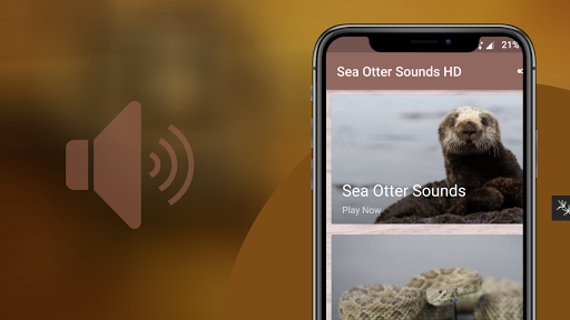 Sea Otter Sounds Screenshot 1 - AppWisp.com