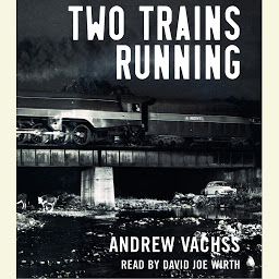Icon image Two Trains Running: A Novel